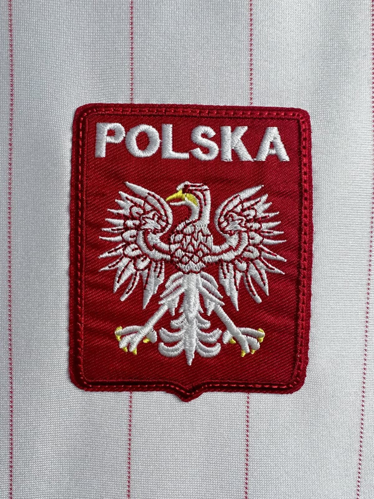 https://cdn.shopify.com/s/files/1/0891/1768/8155/files/Polandhomeshirt-1982-logo.jpg?v=1740564364